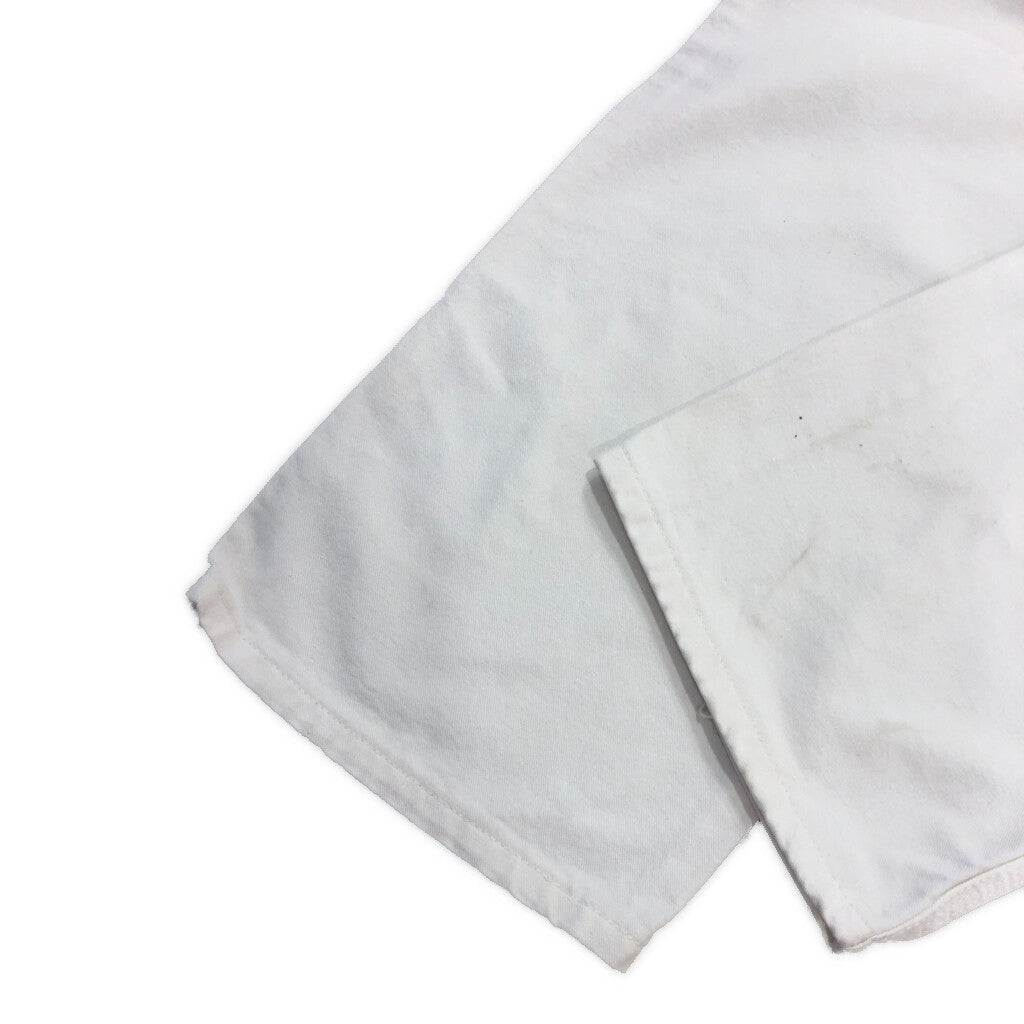 Dickies Painter Pants