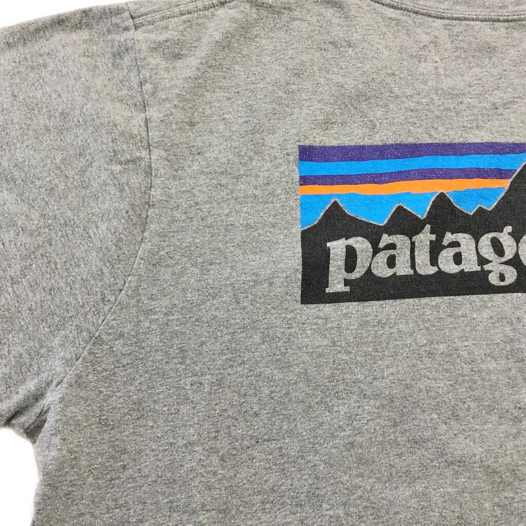 patagonia Organic Cotton Long Sleeve T-Shirt