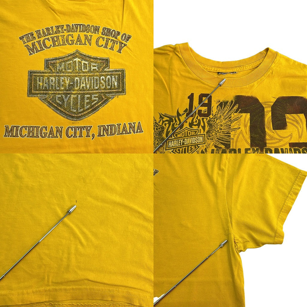 HARLEY DAVIDSON Motorcycle T-Shirt