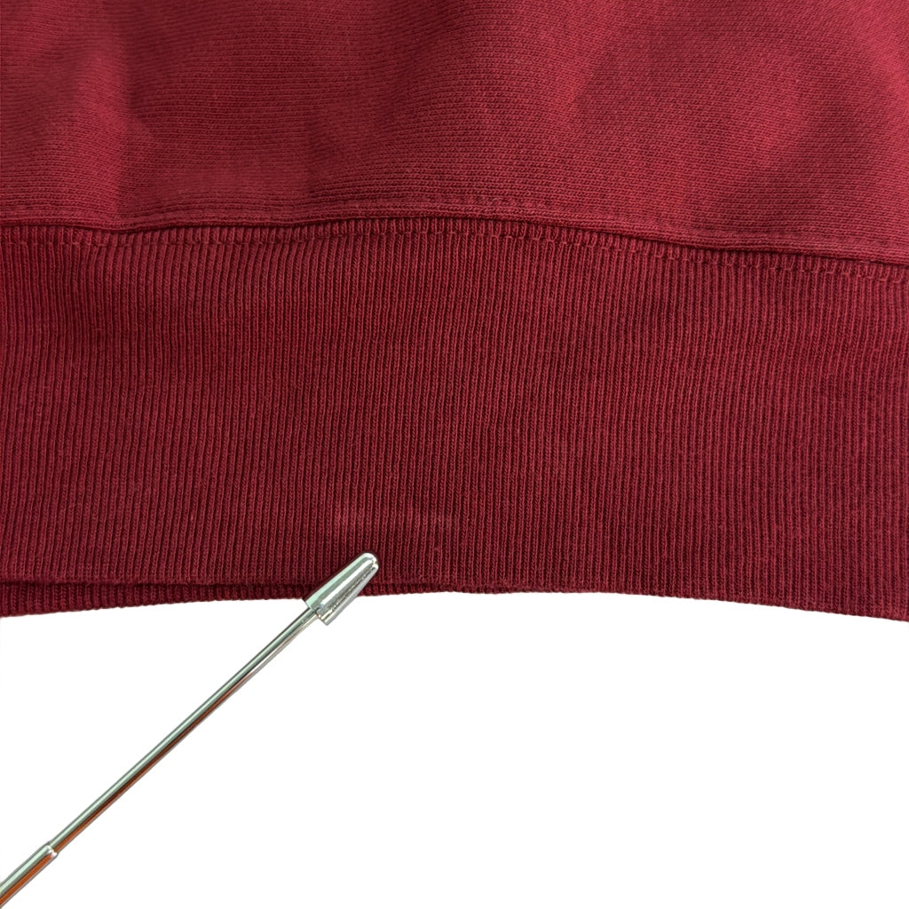 Champion REVERSE WEAVE Logo Hoodie