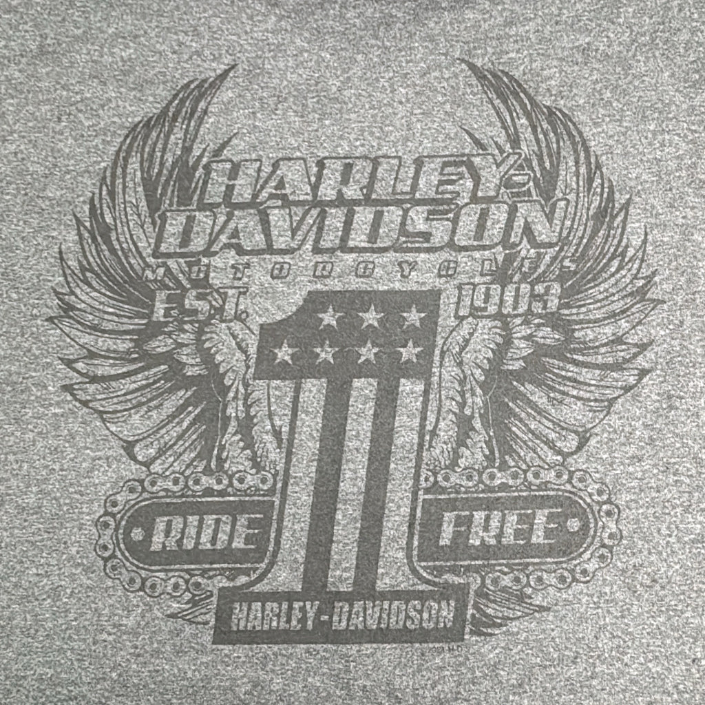 HARLEY DAVIDSON Motorcycle T-Shirt