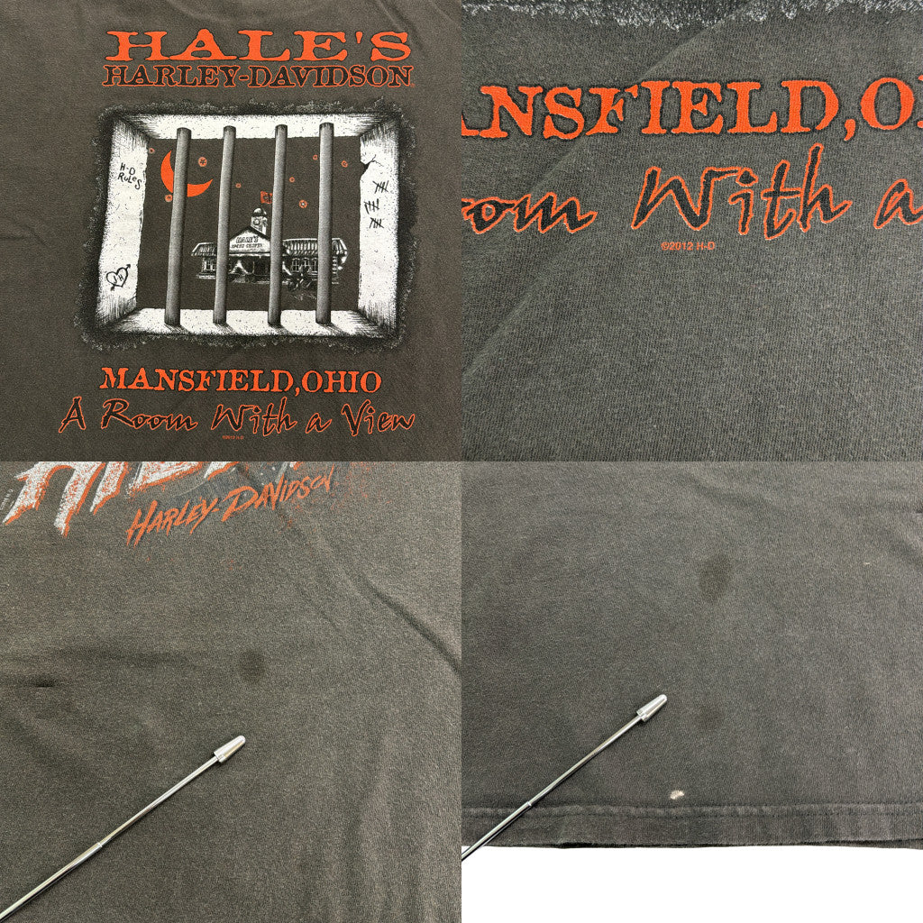 HARLEY DAVIDSON Motorcycle T-Shirt