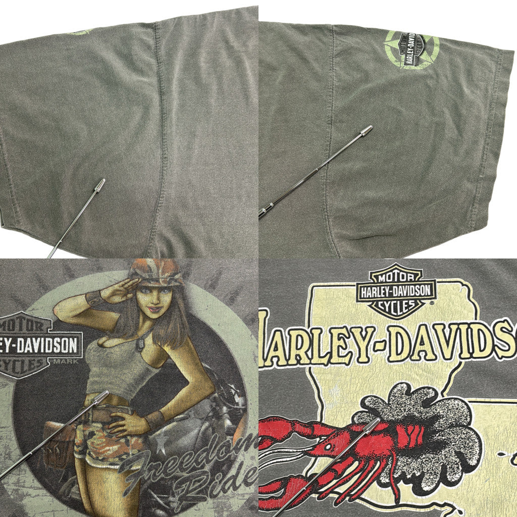 HARLEY DAVIDSON Motorcycle T-Shirt