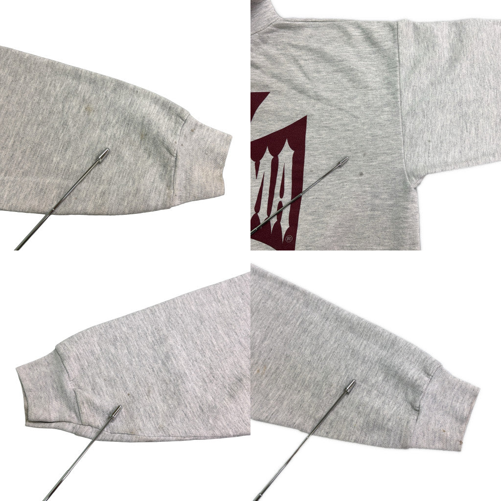 Hanes College Hoodie