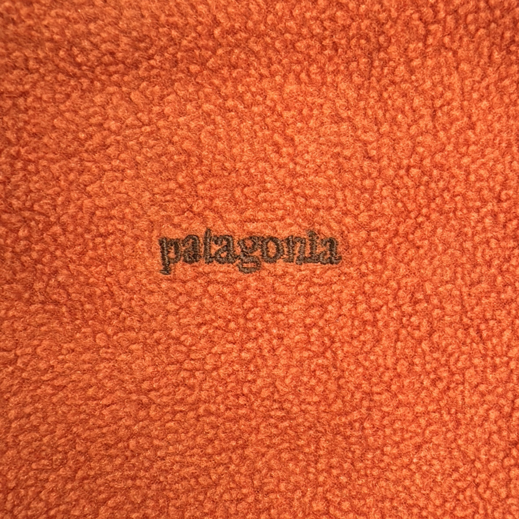 patagonia Capilene Fleece Jacket