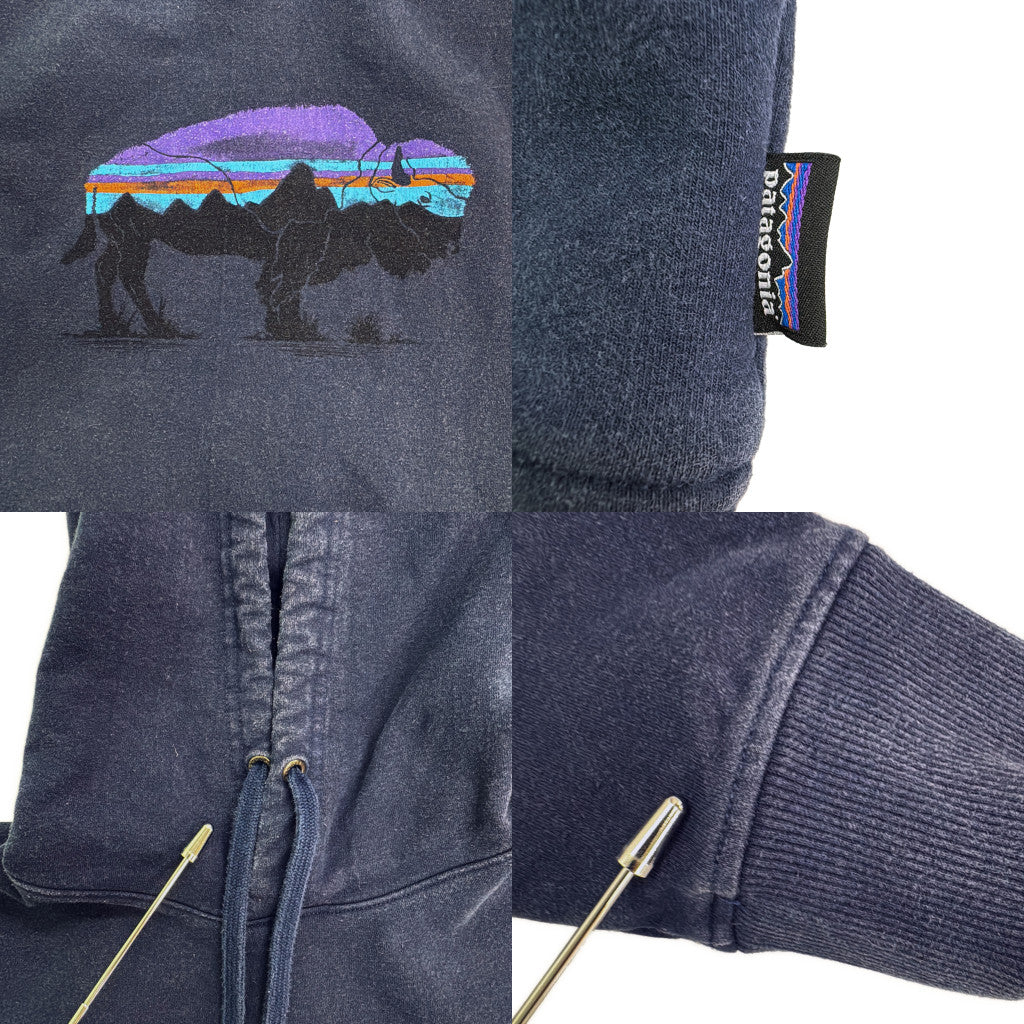 patagonia Hoodie