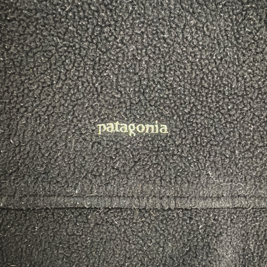 patagonia SYNCHILLA Fleece Vest