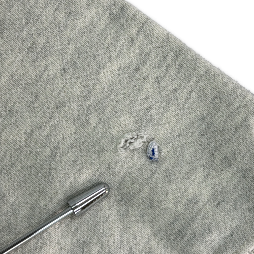 Champion REVERSE WEAVE Plain Hoodie