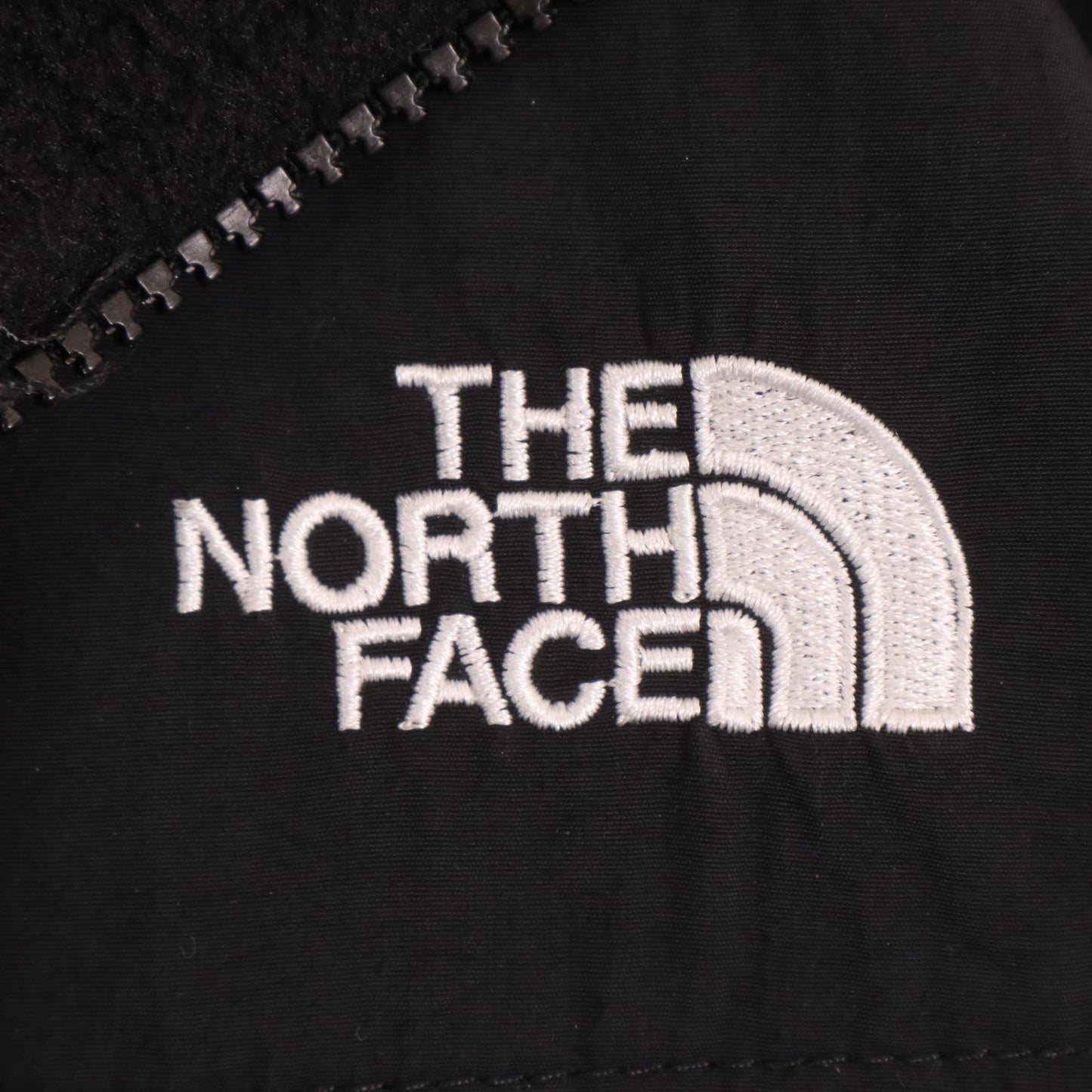 00s THE NORTH FACE Denali Fleece Jacket
