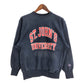 90s Champion REVERSE WEAVE College Sweat