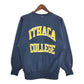 90s Champion REVERSE WEAVE College Sweat