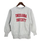 90s Champion REVERSE WEAVE College Sweat