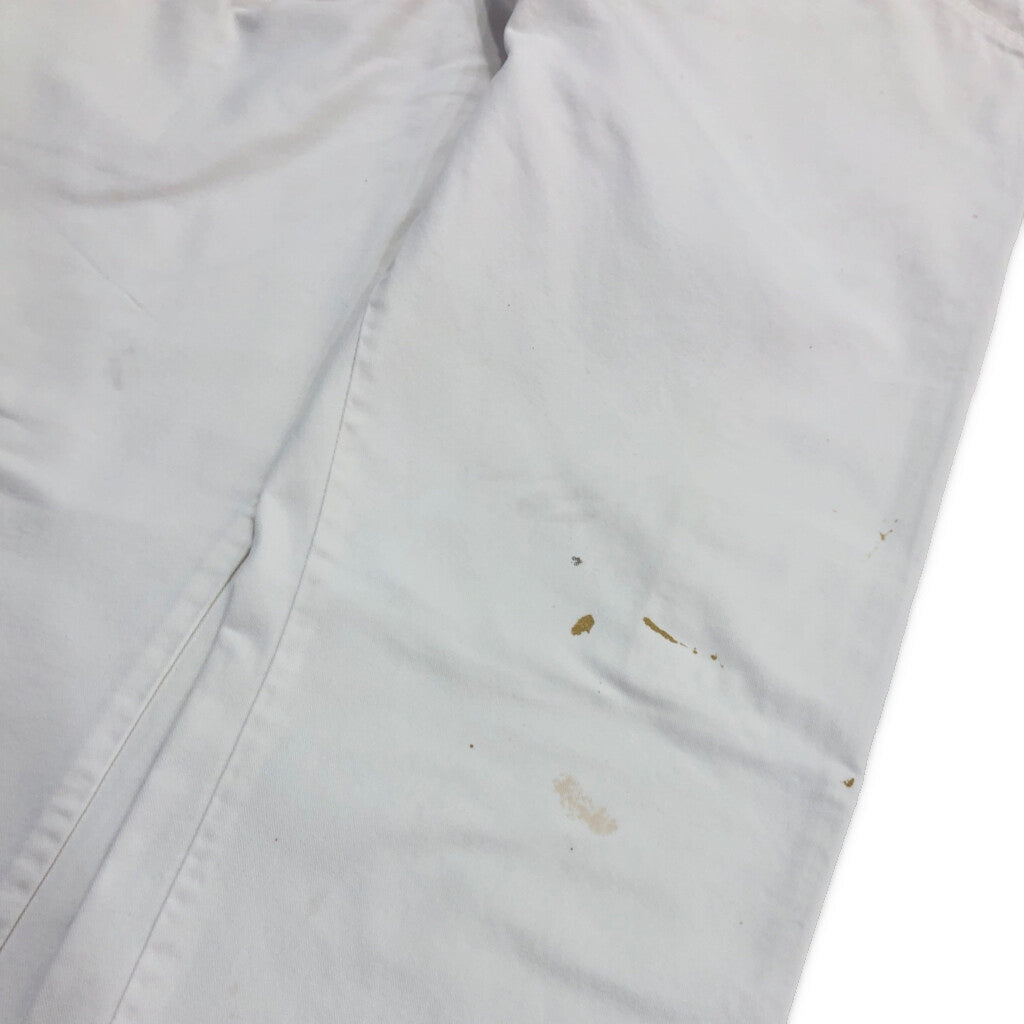 Dickies Painter Pants