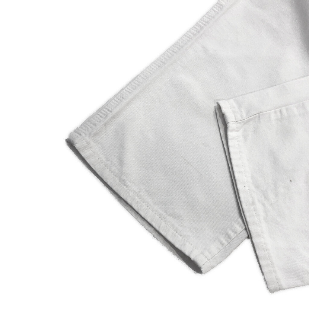 Dickies Painter Pants