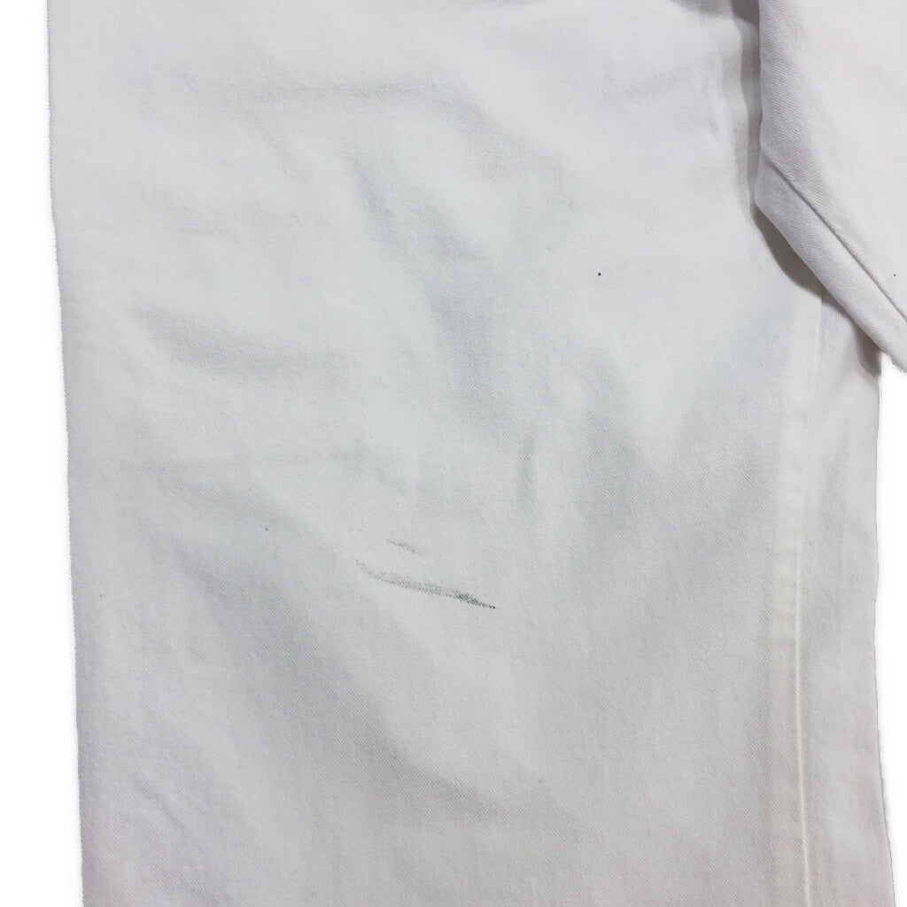 Dickies Painter Pants