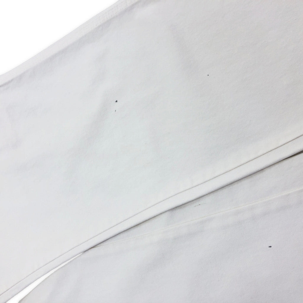 Dickies Painter Pants