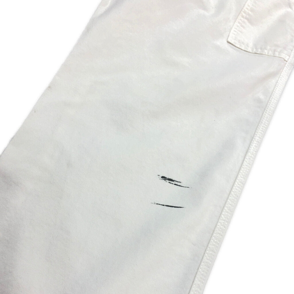 Dickies Painter Pants