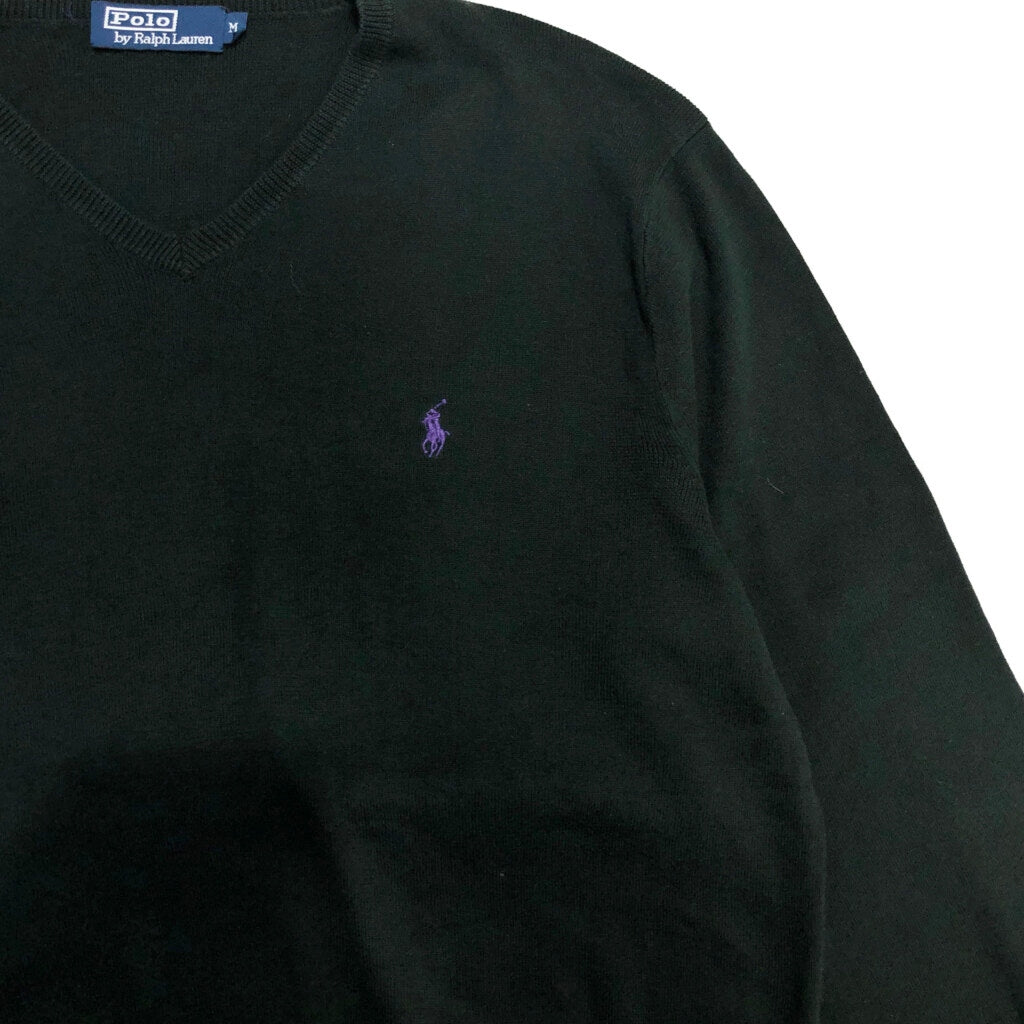 Polo by Ralph Lauren V-Neck Sweater