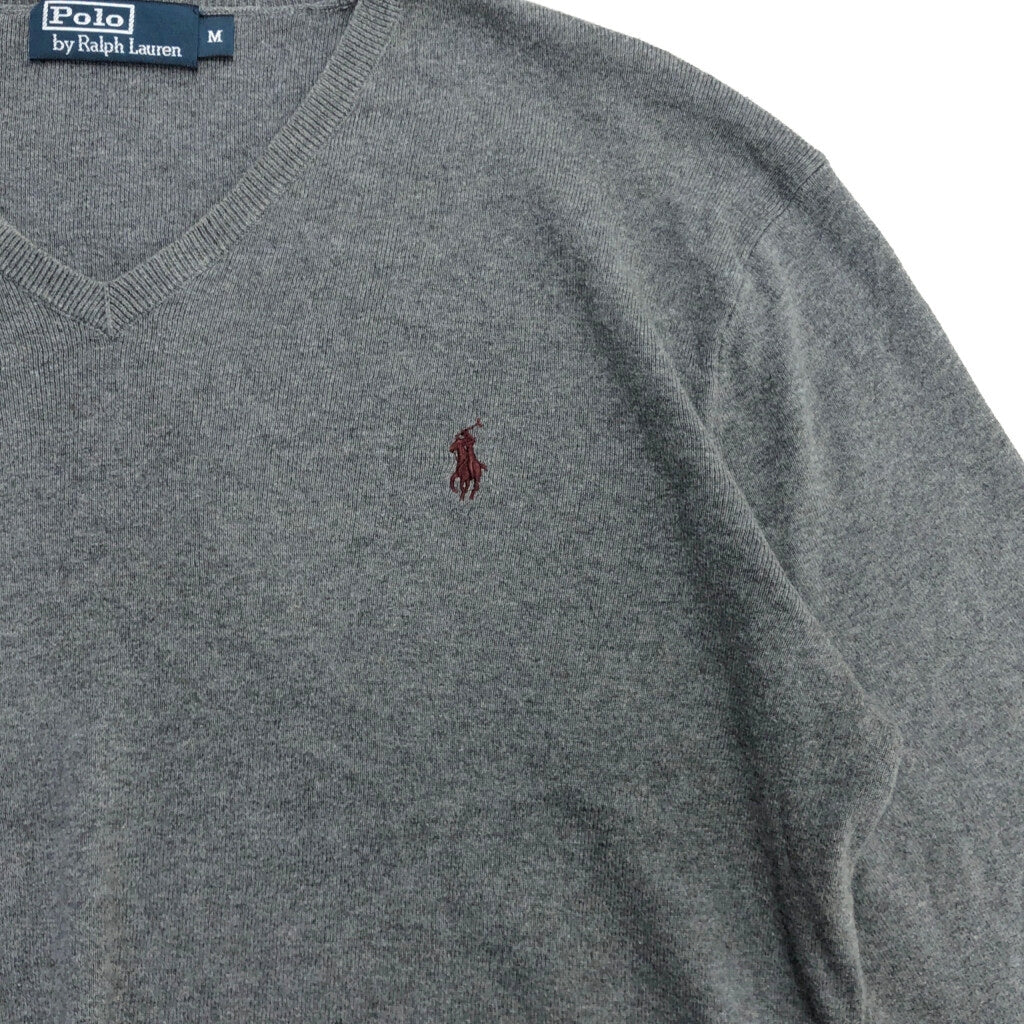 Polo by Ralph Lauren V-Neck Sweater