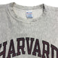 90s Champion REVERSE WEAVE College Sweat
