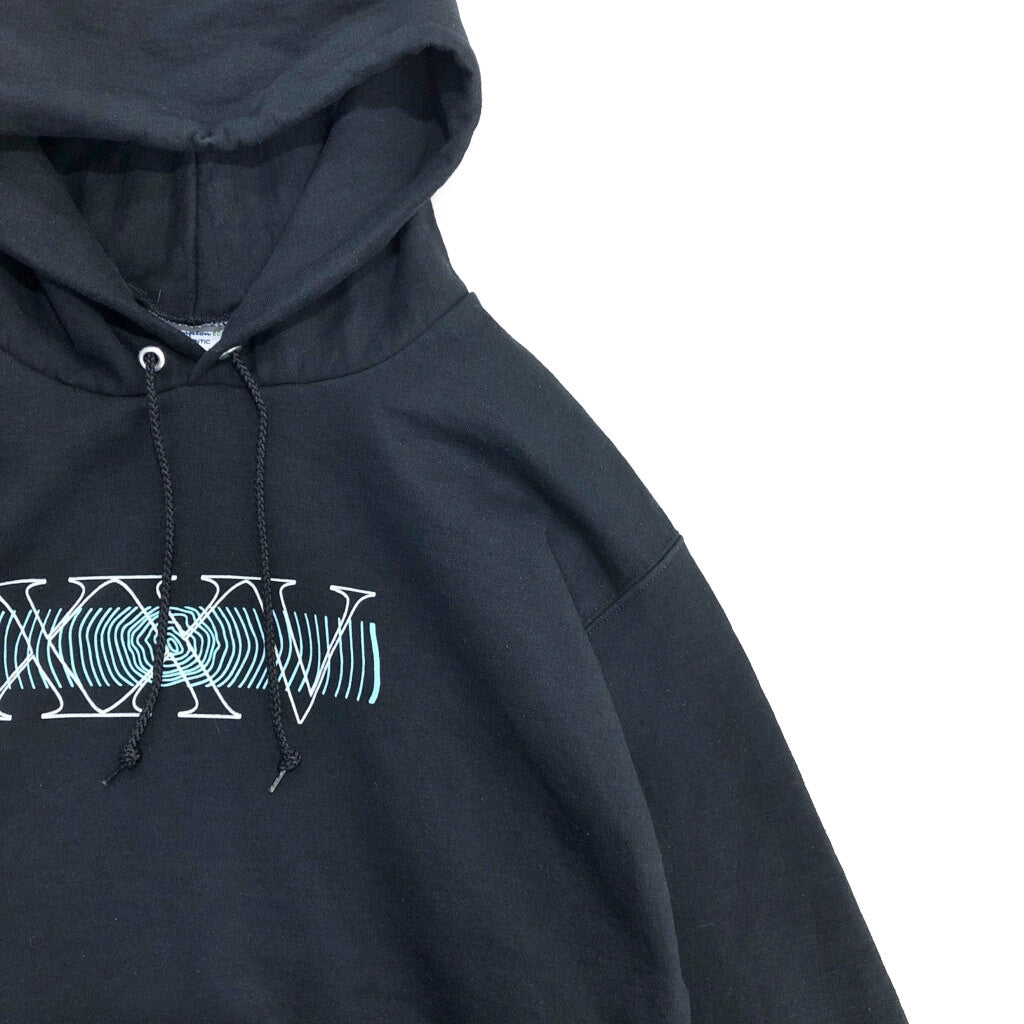 Champion AUTHENTIC Hoodie