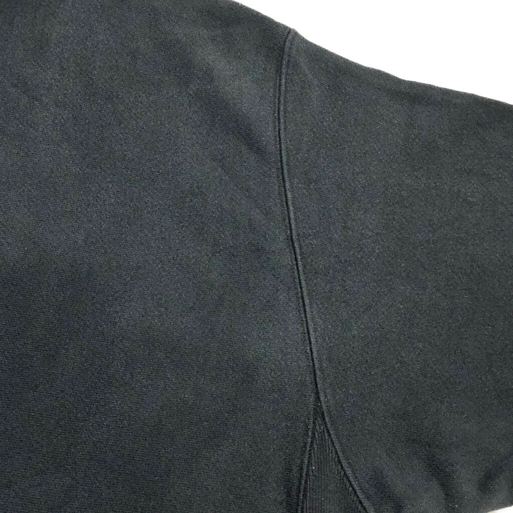 Champion REVERSE WEAVE Plain Hoodie