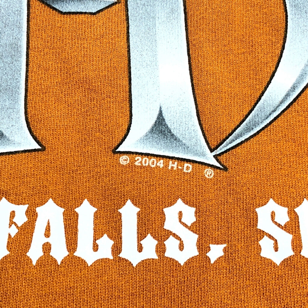 00s HARLEY DAVIDSON Hoodie