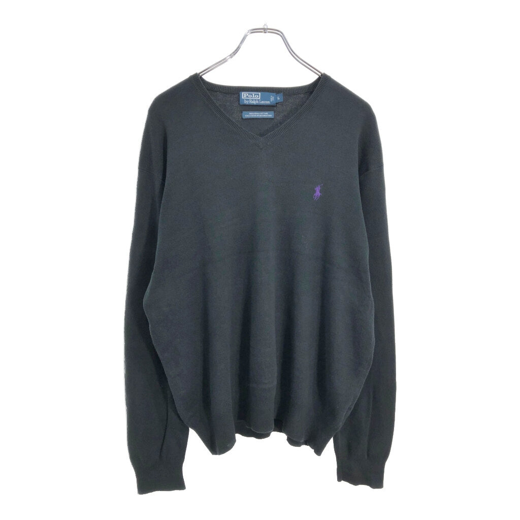 Polo by Ralph Lauren V-Neck Sweater