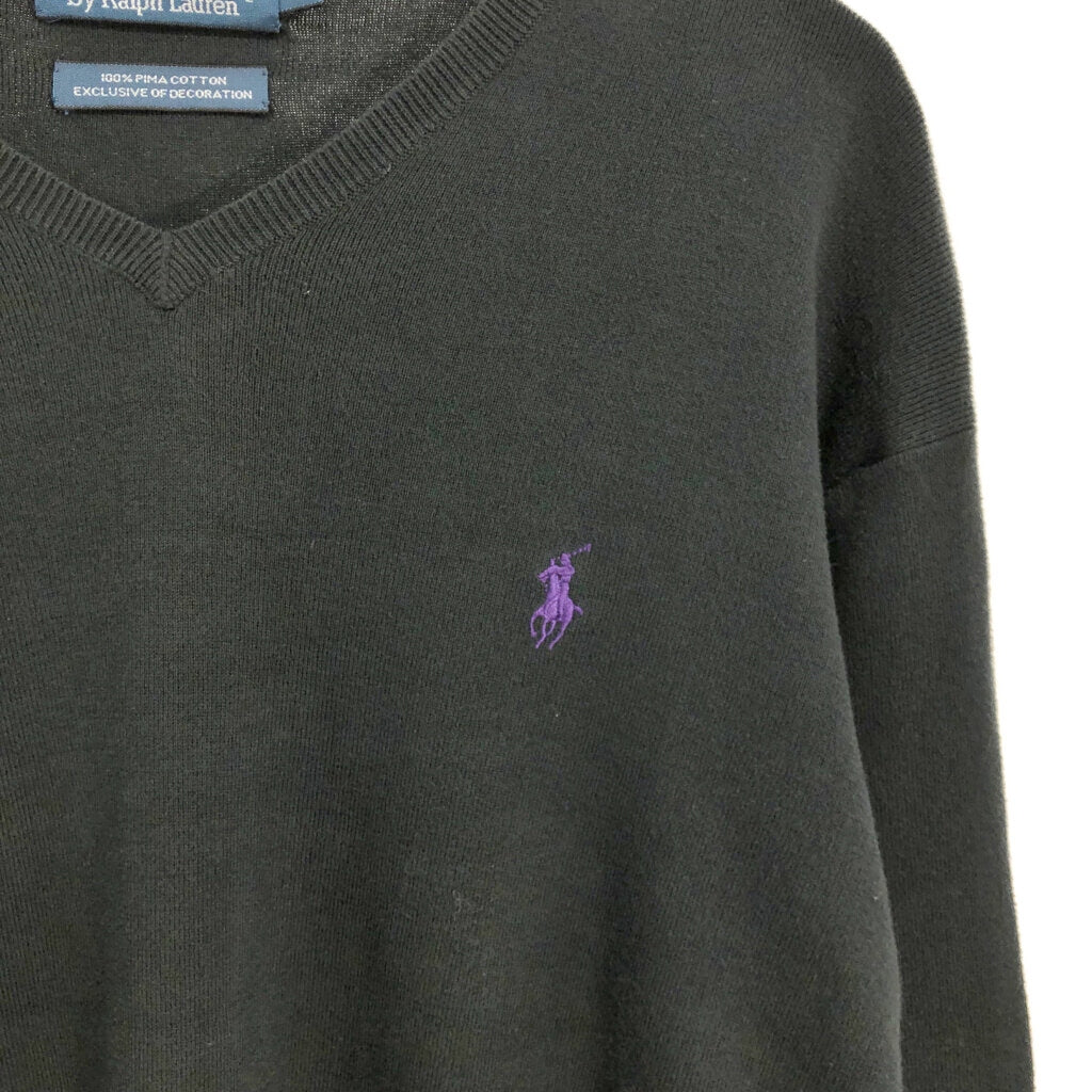Polo by Ralph Lauren V-Neck Sweater