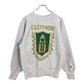 90s Champion REVERSE WEAVE College Sweat