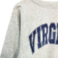 90s Champion REVERSE WEAVE College Sweat