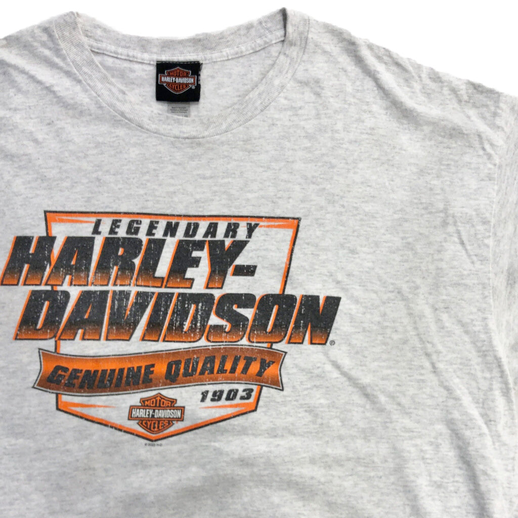 HARLEY DAVIDSON Motorcycle Long Sleeve T-Shirt