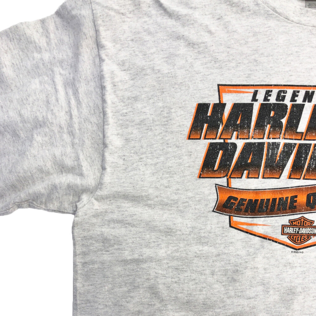 HARLEY DAVIDSON Motorcycle Long Sleeve T-Shirt
