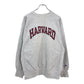 90s Champion REVERSE WEAVE College Sweat