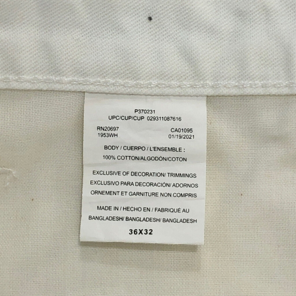 Dickies Painter Pants