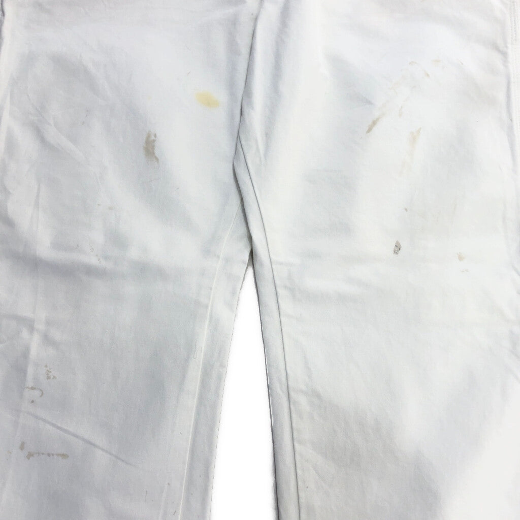 Dickies Painter Pants