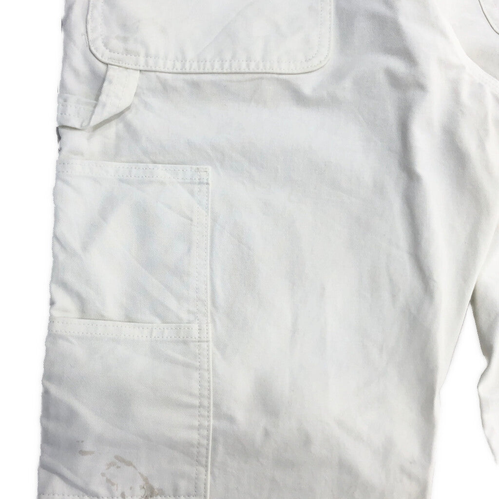 Dickies Painter Pants