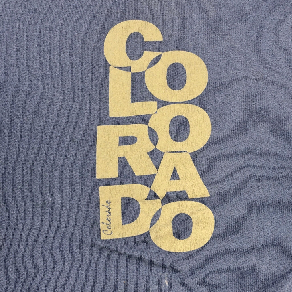 90s FRUIT OF THE LOOM Sweat