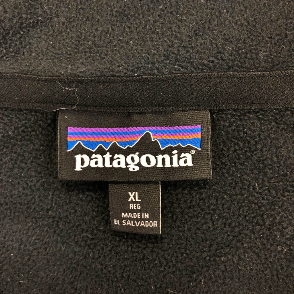 patagonia Micro D Fleece Jacket