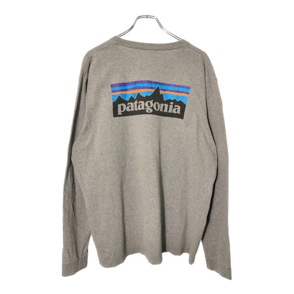 patagonia Organic Cotton Long Sleeve T-Shirt