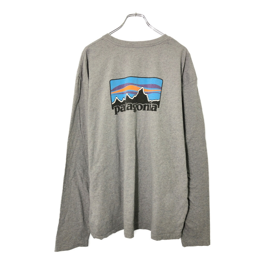 patagonia Organic Cotton Long Sleeve T-Shirt