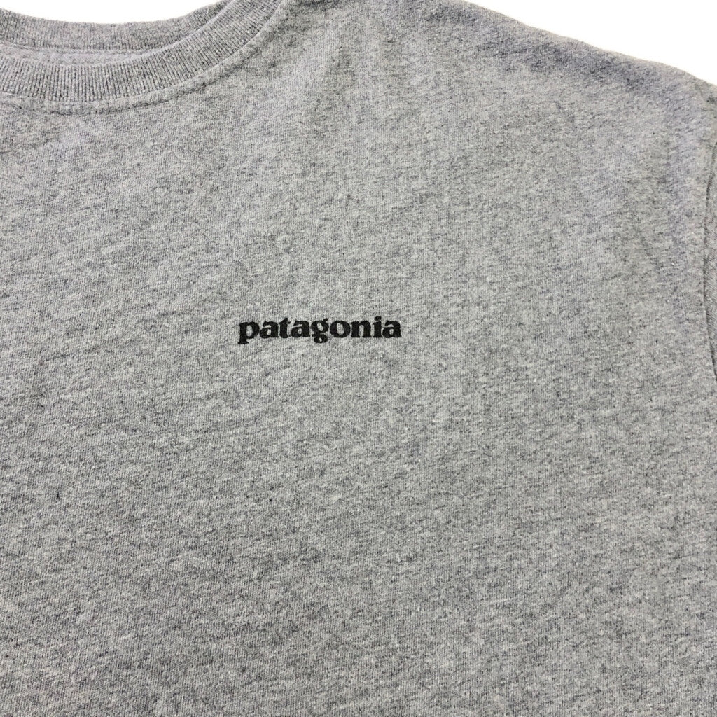 patagonia Organic Cotton Long Sleeve T-Shirt