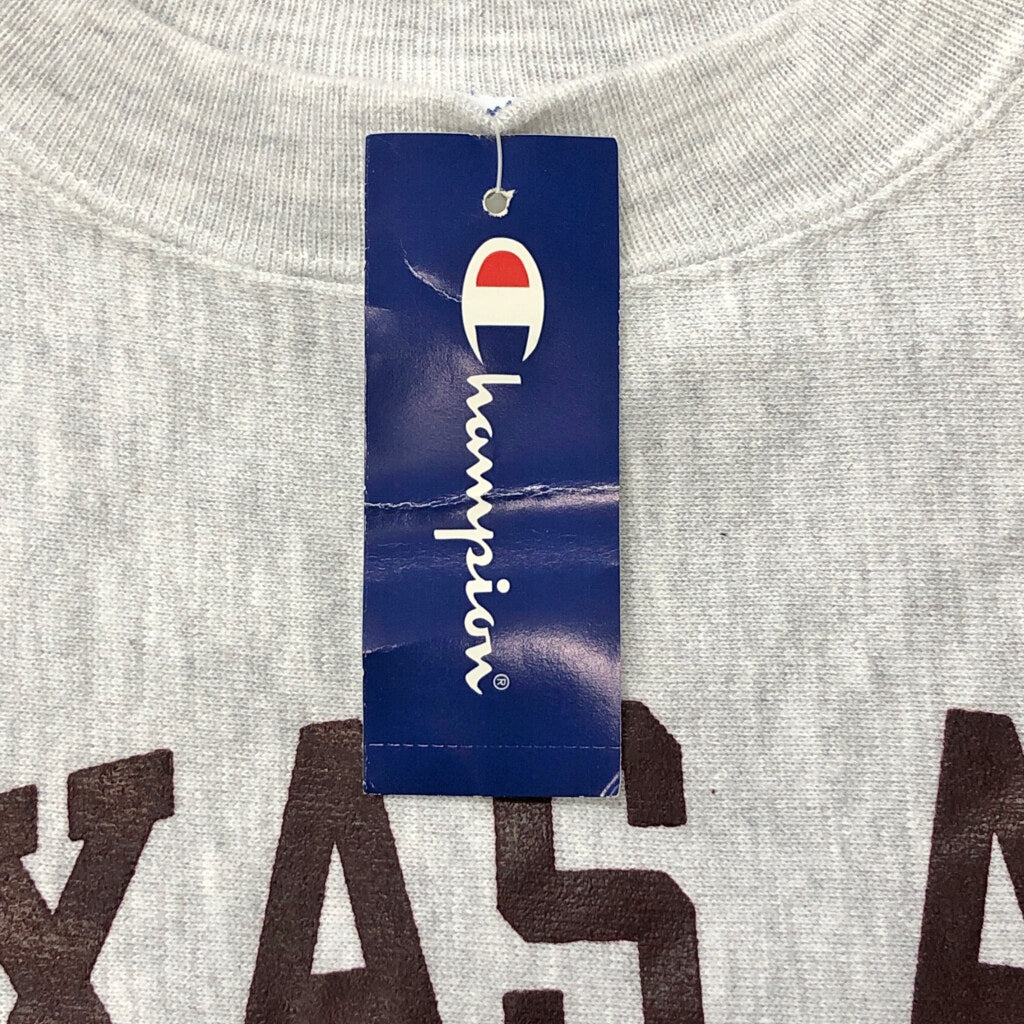 90s Champion REVERSE WEAVE College Sweat