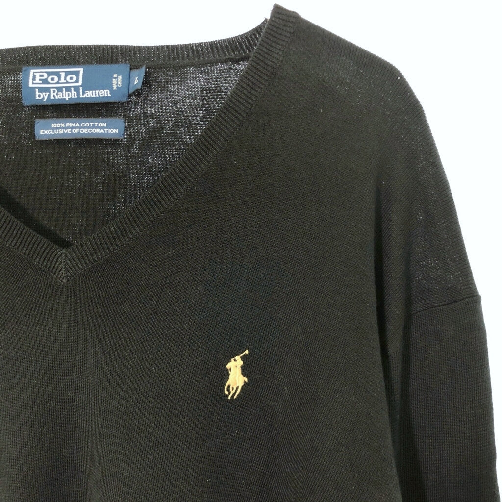 Polo by Ralph Lauren V-Neck Sweater