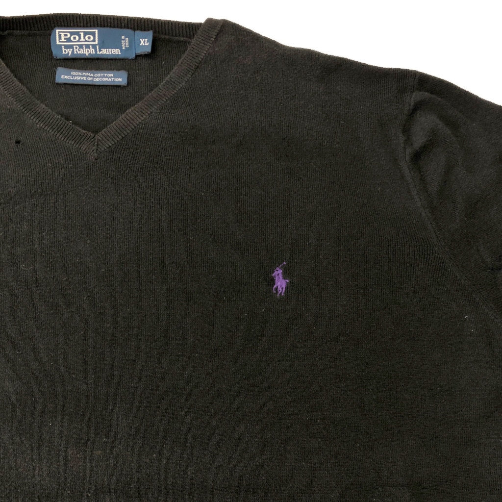 Polo by Ralph Lauren V-Neck Sweater