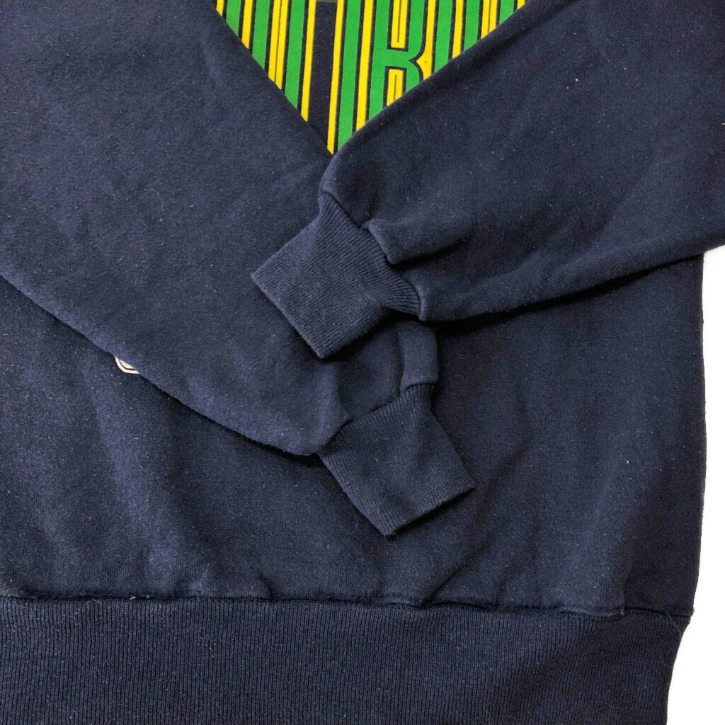 90s Hanes Champknit College Sweat