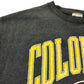 90s CHEETAH MERVYNS College Sweat