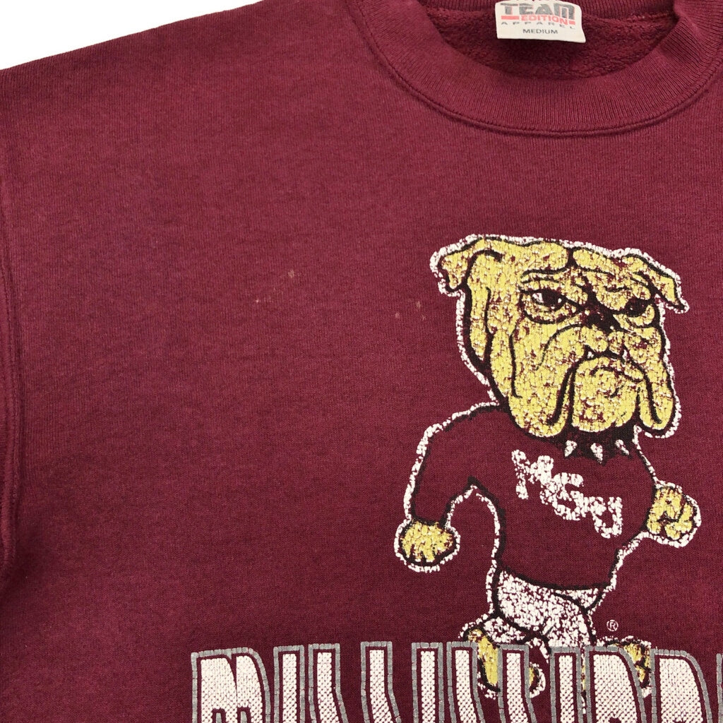90s TEAM EDITION APPAREL College Sweat