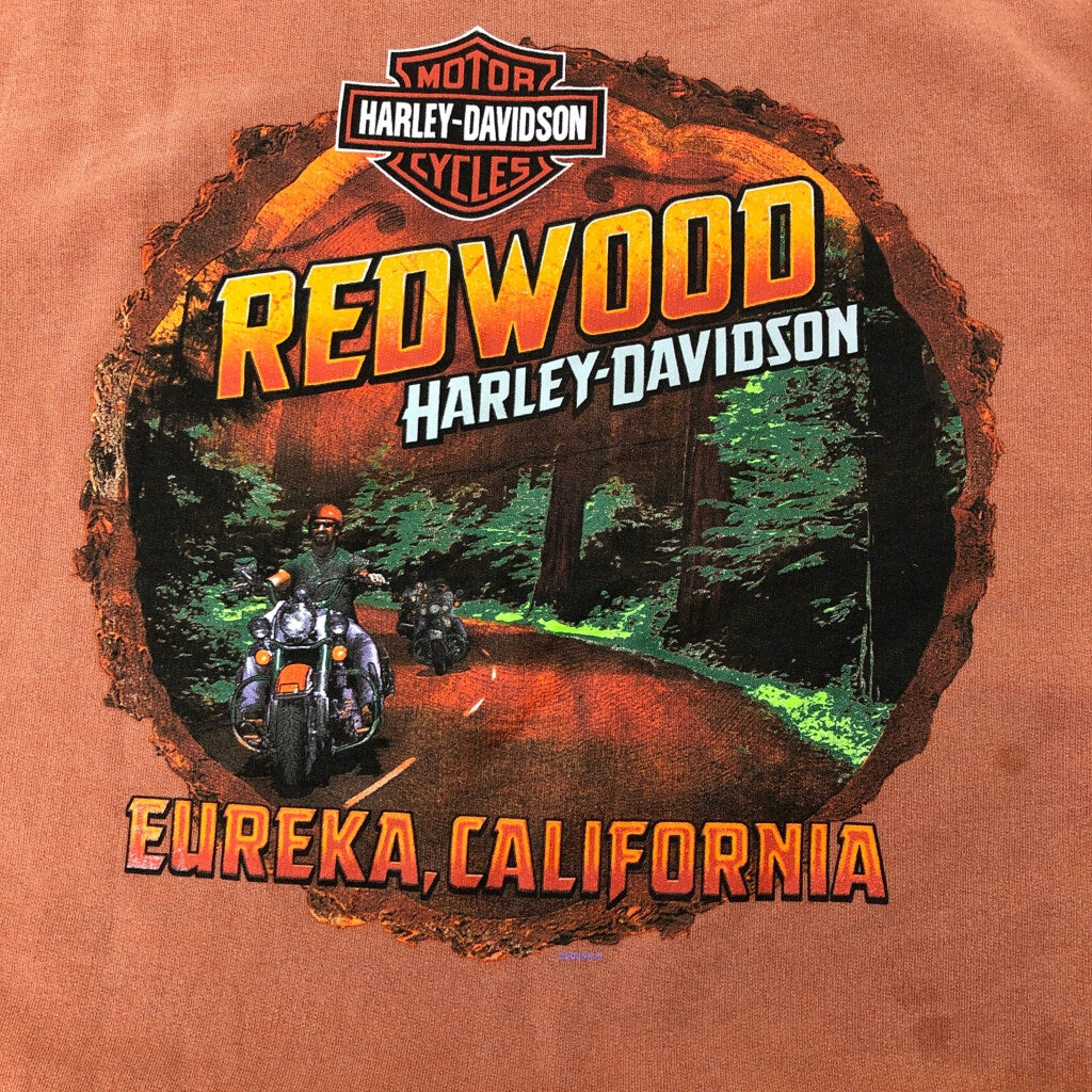00s HARLEY DAVIDSON Sweat