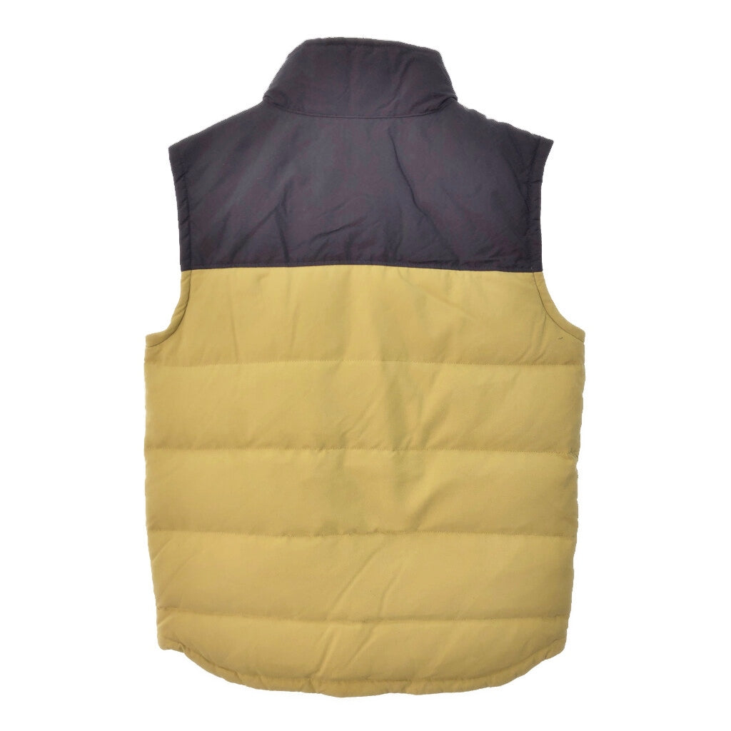 patagonia Down Vest